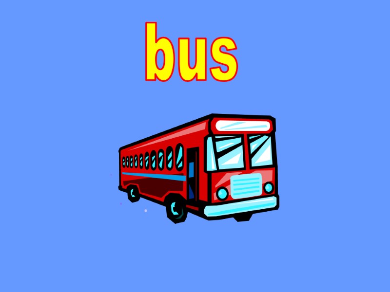 bus